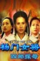 杨门女将之四郎探母