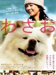 秋田犬蓬夫