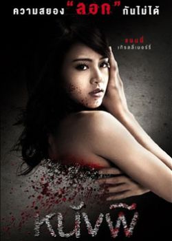 灰姑娘(2011)