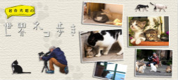 岩合光昭の猫步走世界~马耳他篇