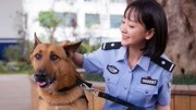 警犬来啦