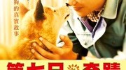 向日葵与幼犬的7天