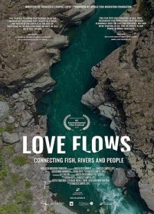 Love Flows