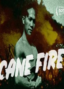 Cane Fire