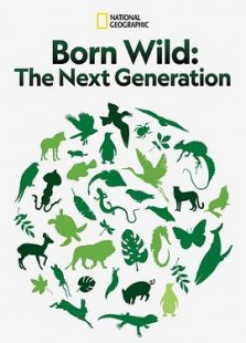 Born Wild: The Next Generation