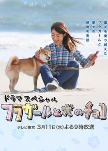 草裙舞女孩与爱犬可可