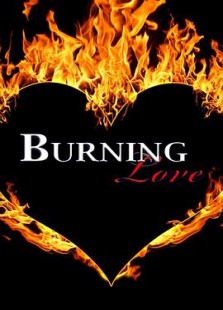 Burning Love第三季