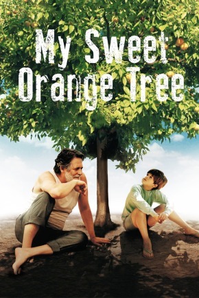 我亲爱的甜橙树